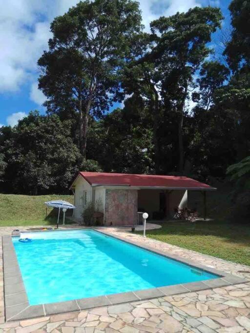 Les Lucioles 1 Beau T2 En Foret Tropicale Avec Acces Piscine Saint-Joseph Luaran gambar